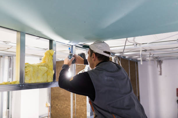 Best Home Insulation Services  in Broad Creek, NC