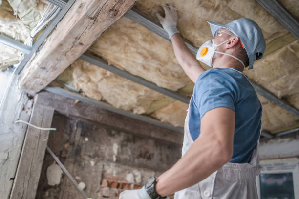 Best Insulation Repair Services  in Broad Creek, NC