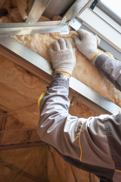 Attic Insulation Near Me in Broad Creek, NC
