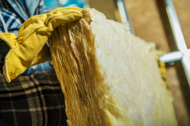 Best Residential Insulation Services  in Broad Creek, NC