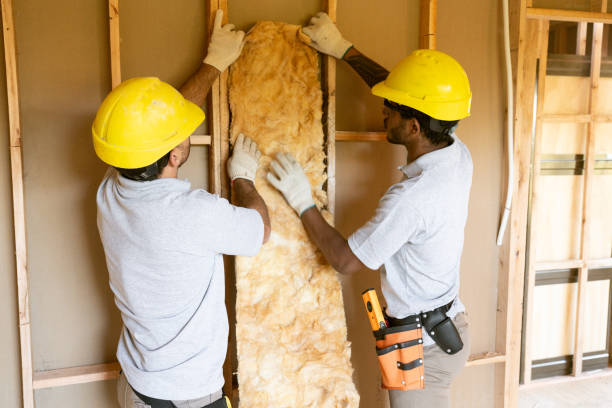 Best Garage Insulation Installation  in Broad Creek, NC