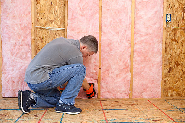 Best Energy-efficient Insulation  in Broad Creek, NC