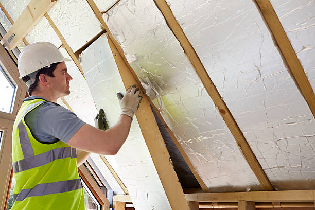 Best Insulation Contractor Near Me  in Broad Creek, NC